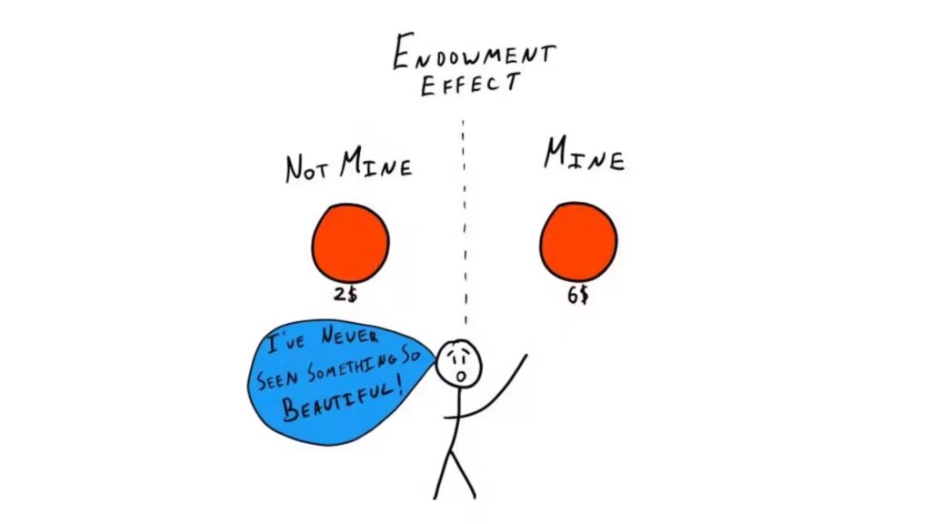 Endowment Effect